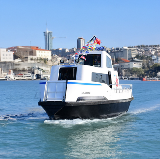 Électrification dans le Transport Maritime