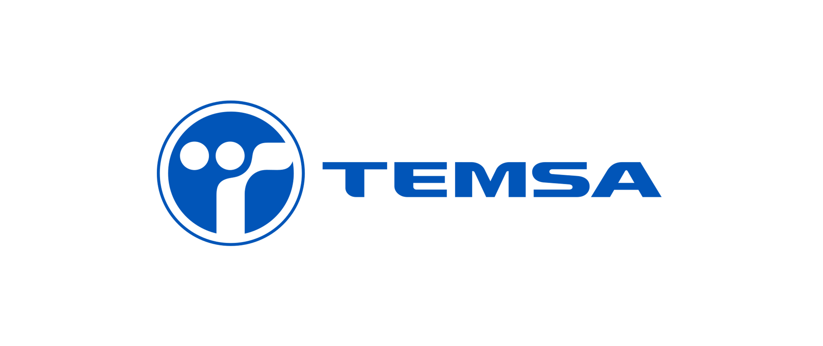 Management Change At TEMSA